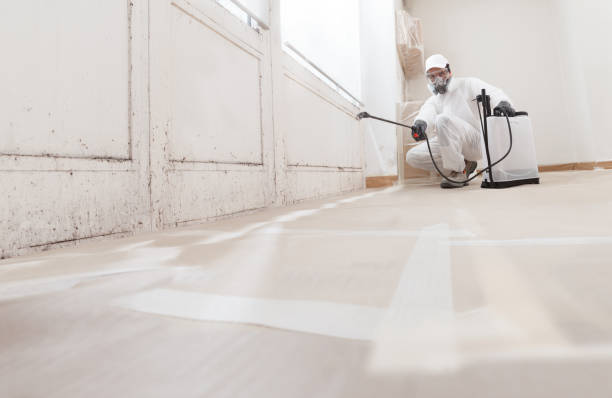 24/7 Emergency Attic Mold Removal experts in Stony Brook, NY